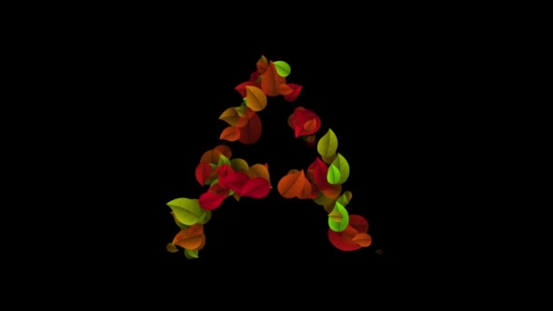 Letra A mayúscula hecha con hojas de color — Vídeo de stock