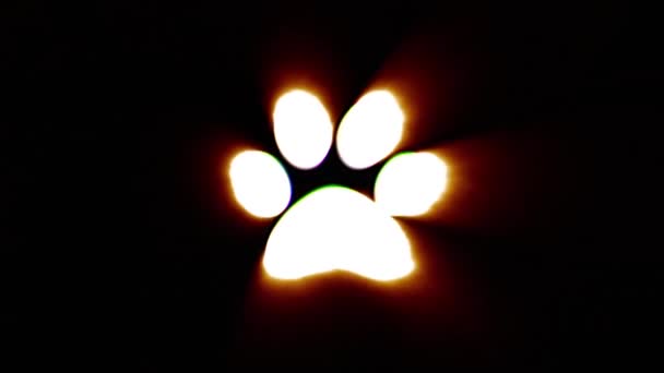 Shiny fire paw icon fly in center flickers with rgb spectrum colors. — 비디오