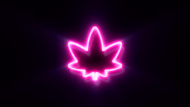 Animato Rosa Neon Simbolo Marijuana Sfondo Nero — Video Stock