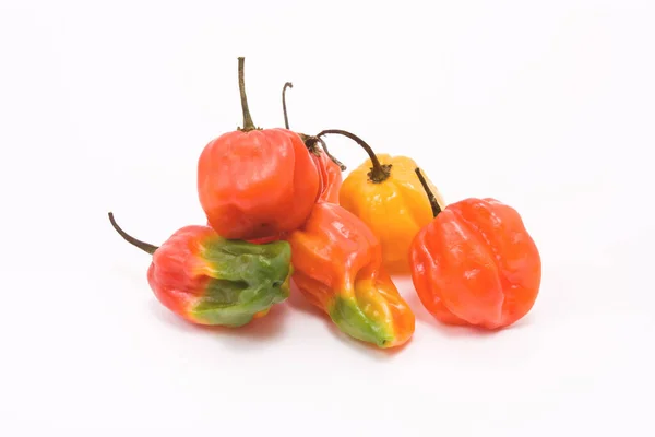 Mixed Caribbean Chillies Close View — Stock Photo, Image