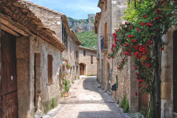 Smalle Straat Oude Stad Van Obidos Portugal — Stockfoto