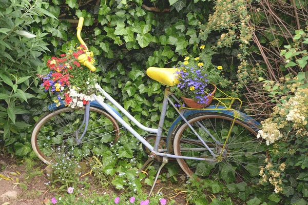 在花园里骑自行车 — 图库照片