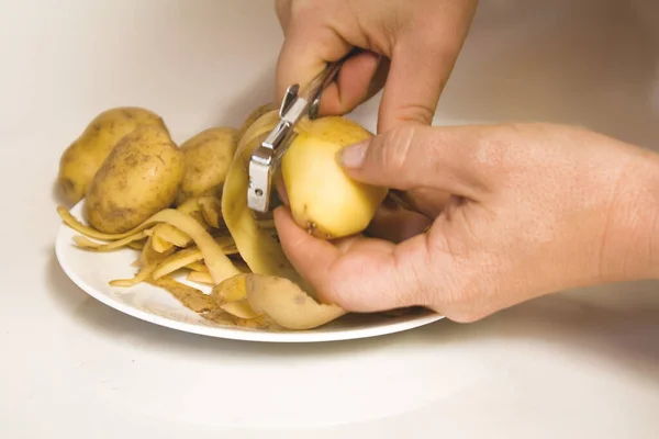 Close Female Hand Holding Fried Potatoes — Stock Photo, Image