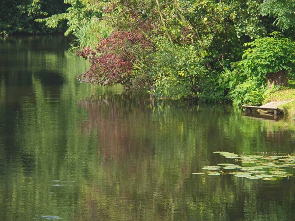 Vijver Het Park — Stockfoto