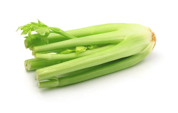 Čerstvě Zelený Celer Izolované Bílém Pozadí — Stock fotografie