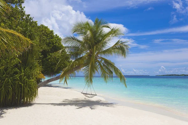 Piękna Plaża Malediwy Pod Palmami — Zdjęcie stockowe