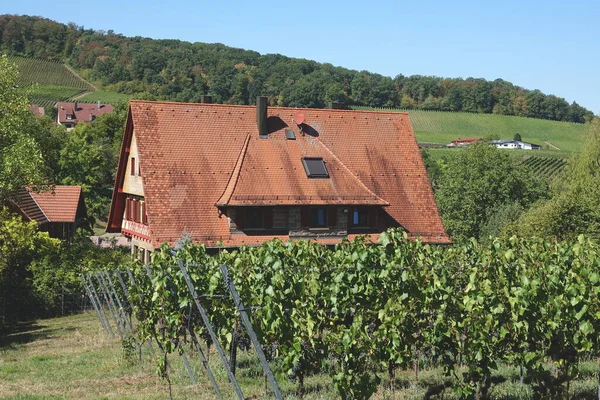 Wine Growing Loewenstein — Stock Photo, Image