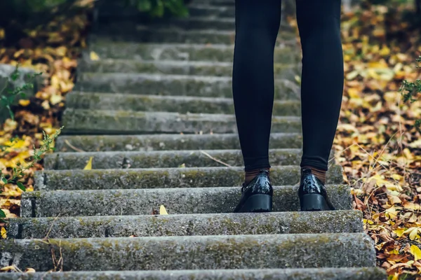 黒タイツと靴のステップで女性の足。秋. — ストック写真