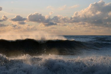 Dalgalar kumsalda kırılıyor
