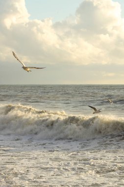 Denizin üzerinde gün batımı
