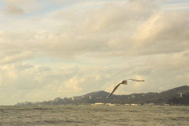 Denizin üzerinde gün batımı