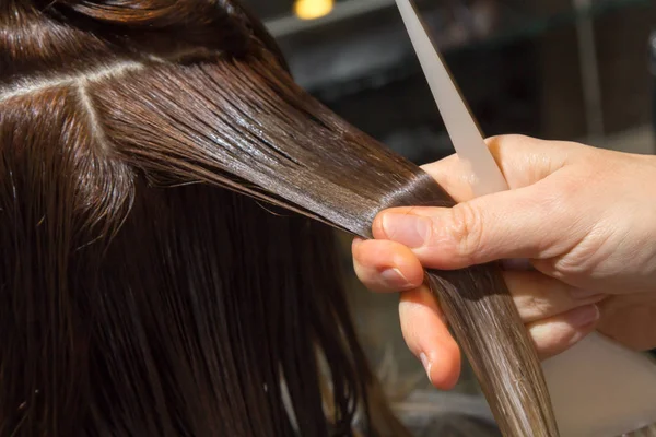 Coloração do cabelo no salão. processo — Fotografia de Stock