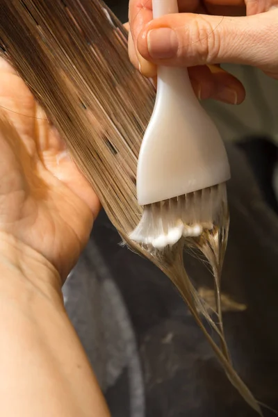 Coloração do cabelo no salão. processo — Fotografia de Stock