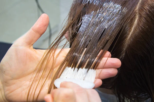 Coloración del cabello en el salón. proceso — Foto de Stock