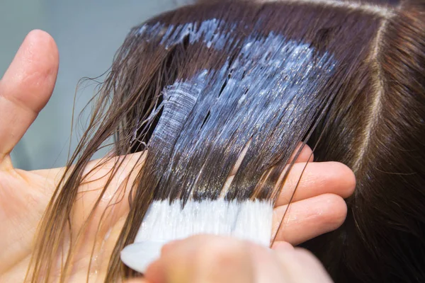 Coloración del cabello en el salón. proceso — Foto de Stock