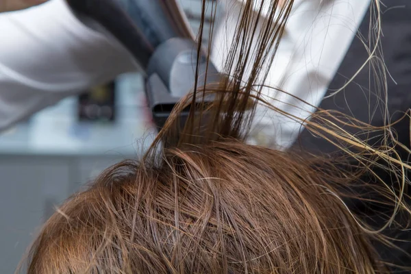 Cuidado com o cabelo. Mulheres secando cabelo — Fotografia de Stock