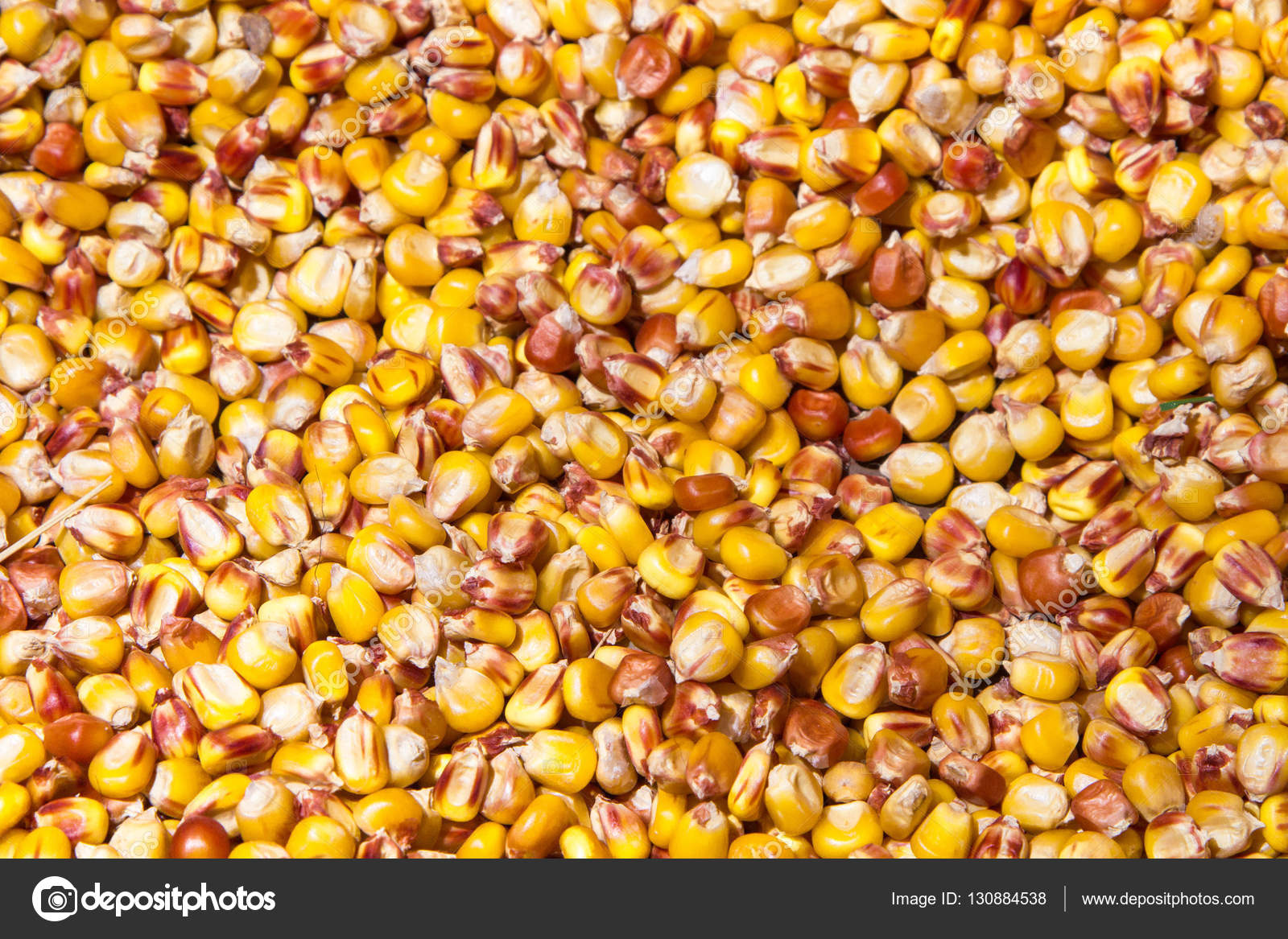 View Download Photobulk Background