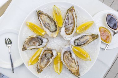 Buz ve limon bir masa üzerine beyaz bir tabak içinde taze istiridye