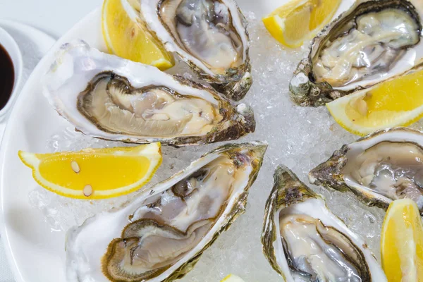 Ostras frescas en un plato con limón —  Fotos de Stock