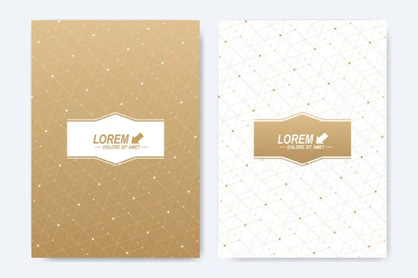 Modern vector template for brochure, Leaflet, flyer, cover, booklet, magazine or annual report. A4 size. Abstract golden presentation book layout. Geometric pattern with connected lines and dots. — Stock Vector