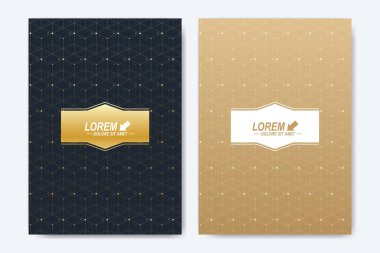 Modern vektör şablonu için broşür, broşür, el ilanı, kapak, kitapçık, dergi veya yıllık raporu. A4 boyutunda. Soyut altın sunum kitap düzeni. Bağlantılı çizgilerin ve noktaların geometrik desen.