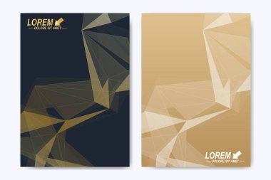 Modern vektör şablonu için broşür, broşür, el ilanı, ilan, kapak, katalog, dergi veya yıllık raporu. Geometrik arka plan iletişim. Bilimsel parçacık bileşikler. Satırları pleksus. Kart yüzeyi.