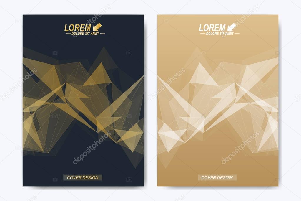 Modern vector template for brochure, Leaflet, flyer, advert, cover, catalog, magazine or annual report. Geometric background communication. Scientific particle compounds. Lines plexus. Card surface.