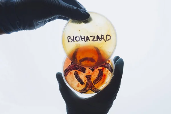 Petrischalen mit Biohazard-Wort und -Symbol — Stockfoto