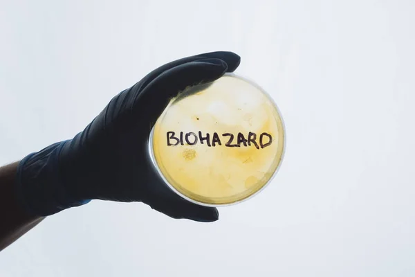 Palavra de perigo biológico na placa de Petri — Fotografia de Stock