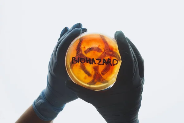 Petriskål med biohazard symbol — Stockfoto