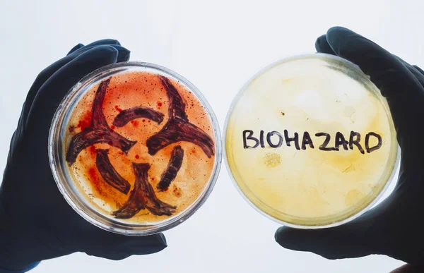 Pratos de Petri com palavra e símbolo de risco biológico — Fotografia de Stock