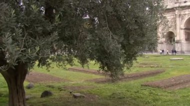 Kolezyum, Roma, İtalya, anıt Roma İmparatorluğu, hareket görünümünde gelen