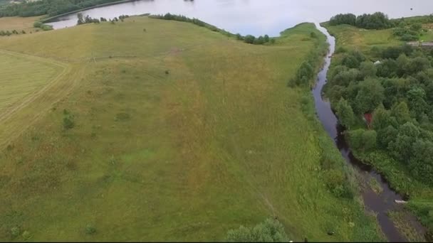 Una vista dall'aria verso un piccolo fiume sfocia nel lago. Estate, coste verdi, campi, nuvole si riflettono . — Video Stock