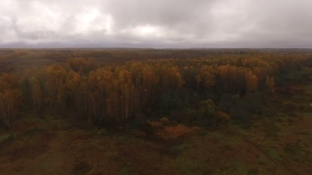 美丽的秋天彩色森林和田野鸟瞰 — 图库视频影像