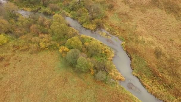 Mooie Luchtfoto Van Herfst Gekleurde Bossen Velden — Stockvideo