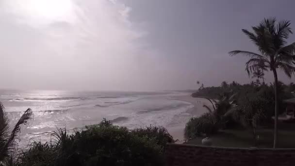 Indian Ocean Sun Palm Trees Waves Wind Beaches — Stock Video