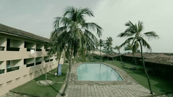 Hotel Sri Lanka Pool Palm Trees Sun — Stock Video