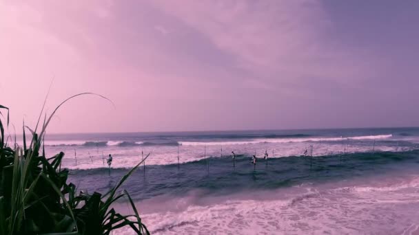 Рибалки Шрі Ланки Стовпи — стокове відео
