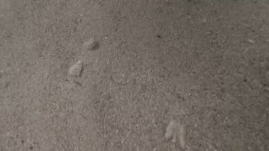 Hint Okyanusu kıyısındaki Sualtı çekim. Sandy alt güneş ışığı ve hava kabarcıkları yamalari ile.