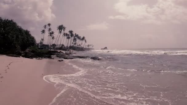 vagues, courant dans le sable, au loin palmiers hauts sur les rochers 