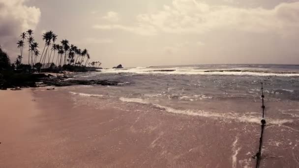 vagues, courant dans le sable, au loin palmiers hauts sur les rochers 