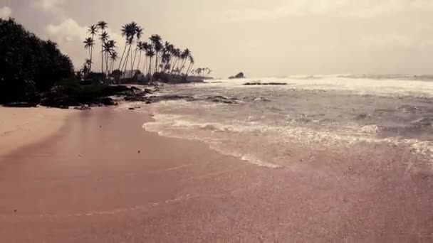 Ondas Correndo Para Areia Distância Altas Palmeiras Nas Rochas — Vídeo de Stock