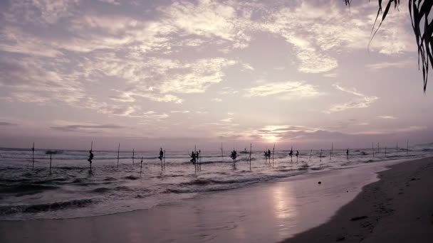 Ψαράδες Πασσάλους Παραδοσιακό Ψαροχώρι Κοντά Στην Ακτή Του Ινδικού Ωκεανού — Αρχείο Βίντεο