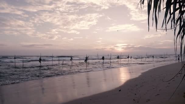 Fishermen Traditional Fishing Poles Shore Indian Ocean Sunset Deserted Sandy — Stock Video