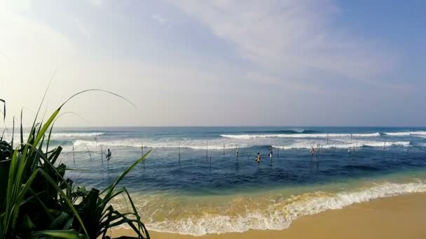 Pescadores Cañas Pescar Tradicionales Cerca Costa Océano Índico Srilanka — Vídeo de stock