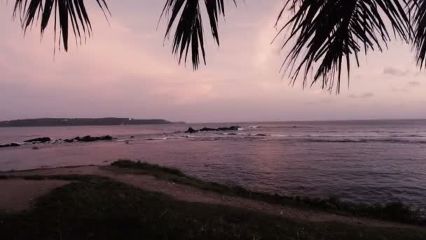 Les Branches Palmier Oscillent Dans Vent Vagues Océan Indien Coucher — Video