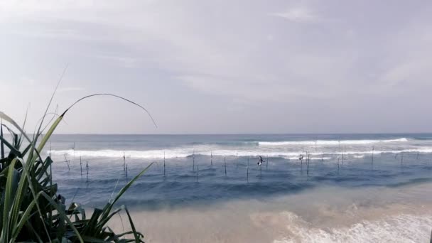 Ondas Correndo Para Areia Distância Altas Palmeiras Nas Rochas — Vídeo de Stock