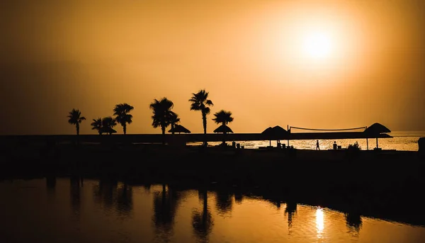 Avuç içi. Fotoğraf Dubai city, Birleşik Arap Emirlikleri çekildi