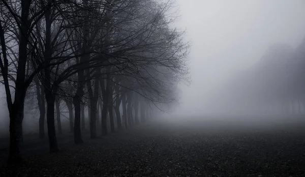 Sis. Stavropol şehirde, Rusya fotoğraf çekildi