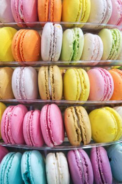 renkli kurabiye tatlı